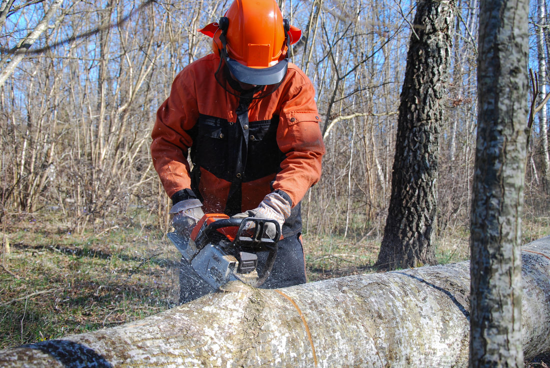 a man working using chainsaw