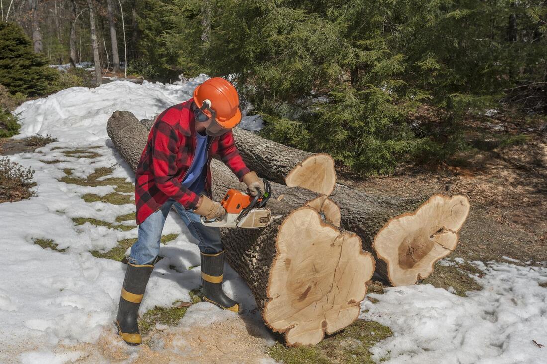 a man cutting the log